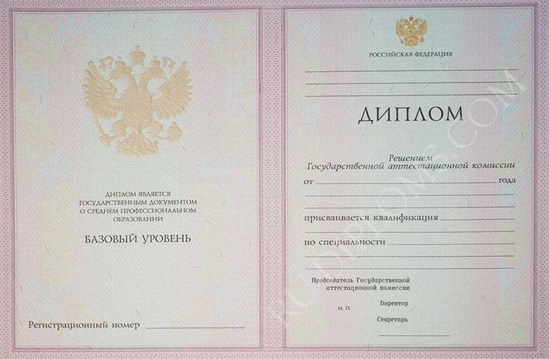 Диплом техникума или колледжа 2004-2006 год 